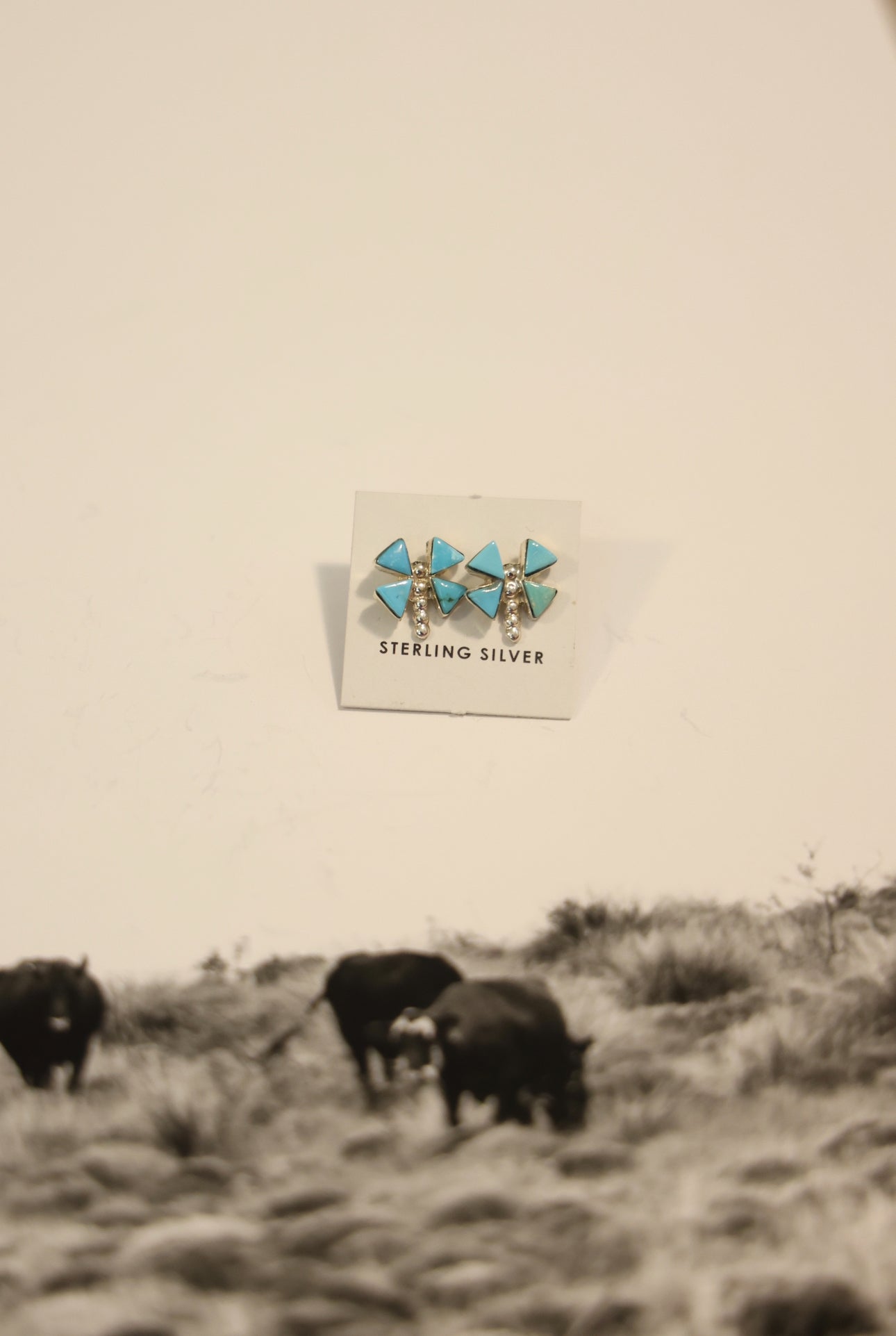 Turquoise dragon fly studs