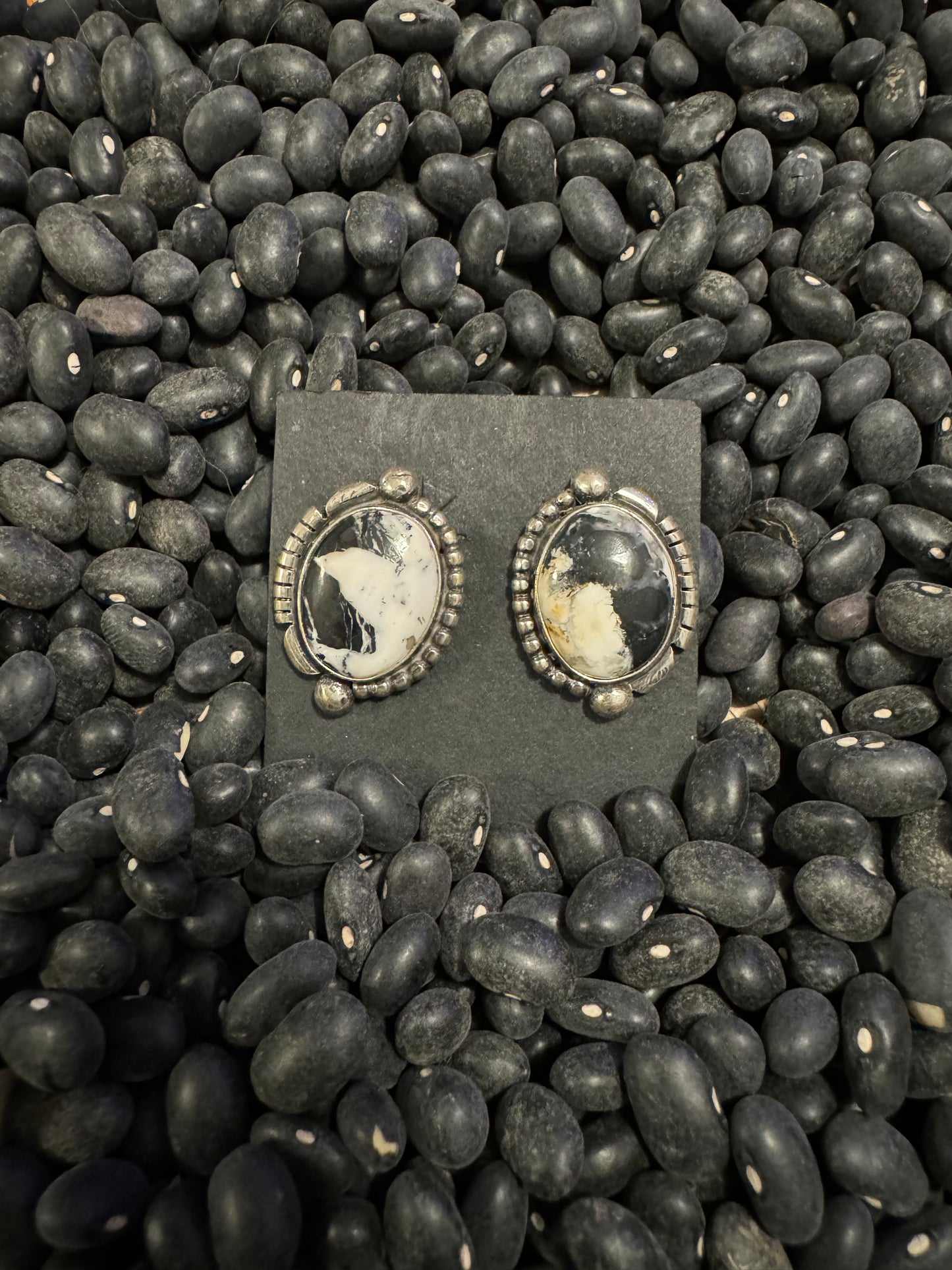 White buffalo studs